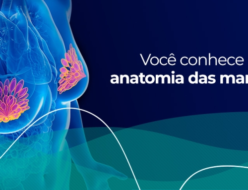 Anatomia da mama: descubra todas as estruturas que compõem o seio feminino